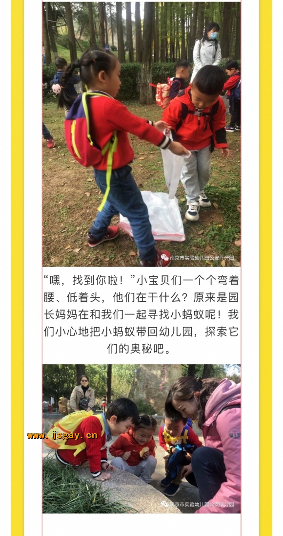附件：寰俊鍥剧墖_20201204140632.jpg